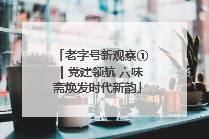 老字号新观察①｜党建领航 六味斋焕发时代新韵
