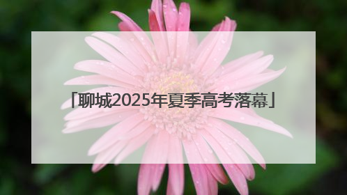 聊城2025年夏季高考落幕