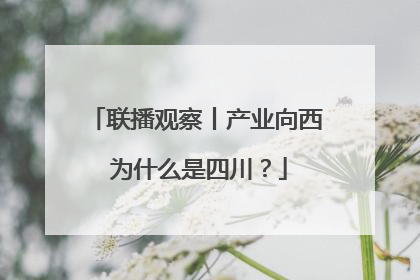 联播观察丨产业向西 为什么是四川？