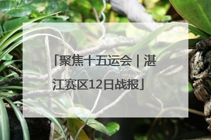 聚焦十五运会｜湛江赛区12日战报