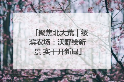 聚焦北大荒｜绥滨农场：沃野绘新景 实干开新局
