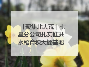 聚焦北大荒｜七星分公司扎实推进水稻育秧大棚基地清理整治工作