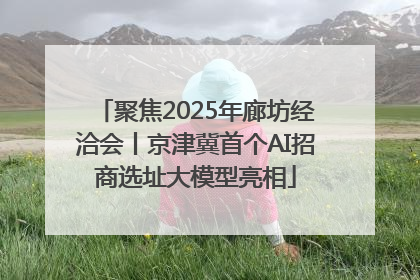聚焦2025年廊坊经洽会丨京津冀首个AI招商选址大模型亮相
