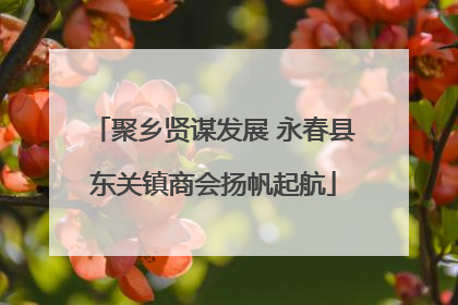 聚乡贤谋发展 永春县东关镇商会扬帆起航