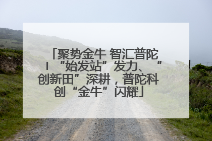 聚势金牛 智汇普陀〡“始发站”发力、“创新田”深耕，普陀科创“金牛”闪耀