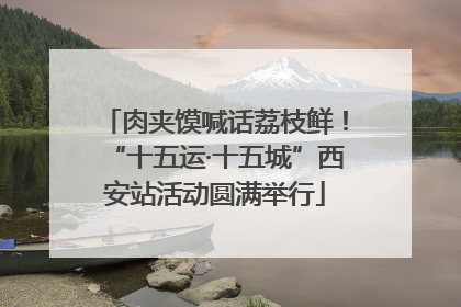肉夹馍喊话荔枝鲜！“十五运·十五城”西安站活动圆满举行