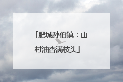 肥城孙伯镇：山村油杏满枝头