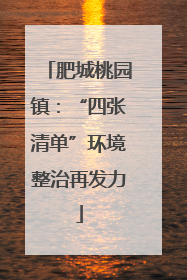 肥城桃园镇：“四张清单”环境整治再发力