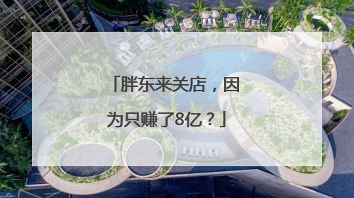 胖东来关店，因为只赚了8亿？
