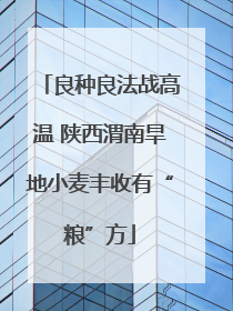 良种良法战高温 陕西渭南旱地小麦丰收有“粮”方