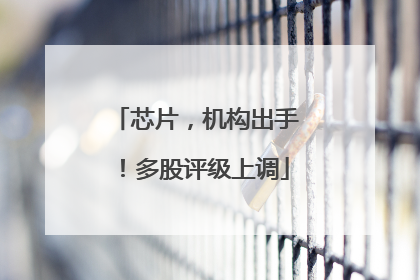 芯片，机构出手！多股评级上调
