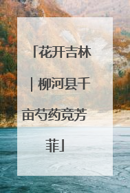 花开吉林｜柳河县千亩芍药竞芳菲