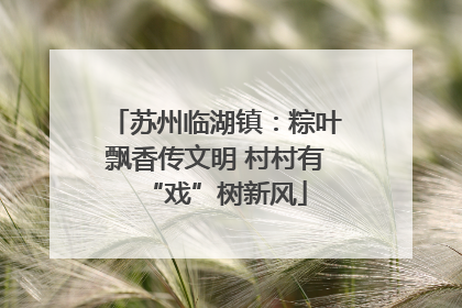 苏州临湖镇：粽叶飘香传文明 村村有“戏”树新风