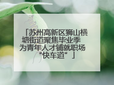 苏州高新区狮山横塘街道聚焦毕业季 为青年人才铺就职场“快车道”