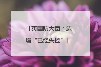 英国防大臣：边境“已经失控”
