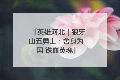 英雄河北｜狼牙山五勇士：舍身为国 铁血英魂