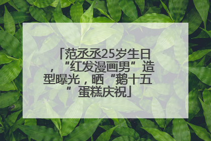 范丞丞25岁生日，“红发漫画男”造型曝光，晒“鹅十五”蛋糕庆祝
