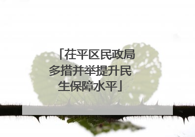 茌平区民政局多措并举提升民生保障水平