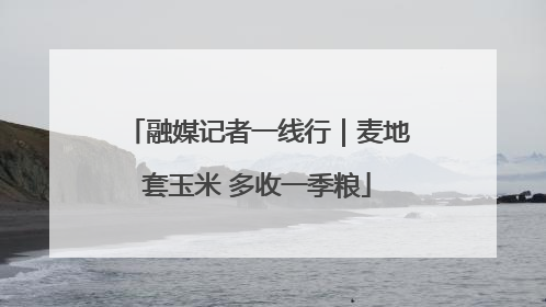 融媒记者一线行｜麦地套玉米 多收一季粮