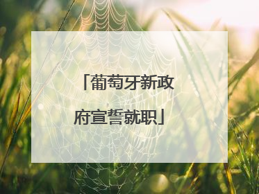 葡萄牙新政府宣誓就职