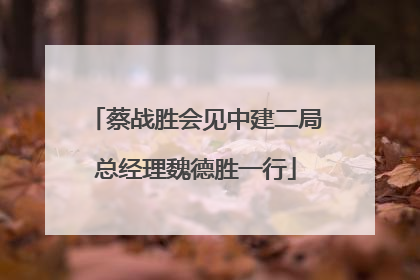 蔡战胜会见中建二局总经理魏德胜一行