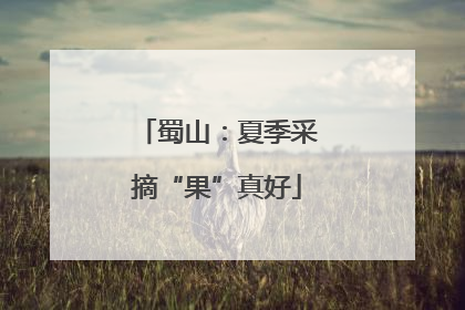 蜀山：夏季采摘“果”真好