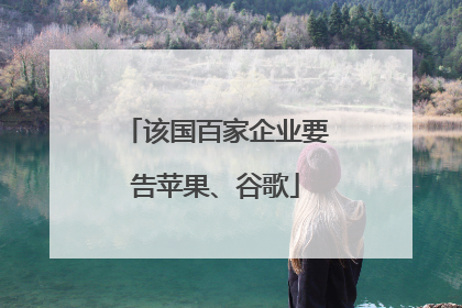 该国百家企业要告苹果、谷歌