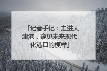记者手记：走进天津港，窥见未来现代化港口的模样