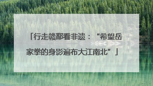 行走赣鄱看非遗：“希望岳家拳的身影遍布大江南北”