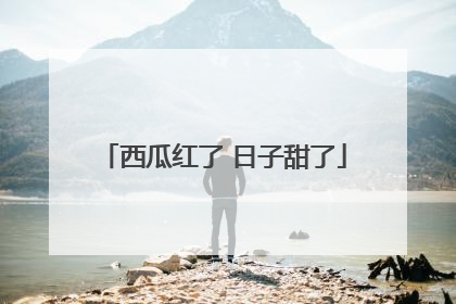 西瓜红了 日子甜了