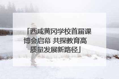 西咸黄冈学校首届课博会启幕 共探教育高质量发展新路径