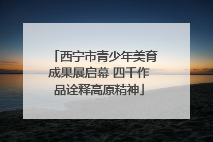 西宁市青少年美育成果展启幕 四千作品诠释高原精神