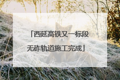 西延高铁又一标段无砟轨道施工完成