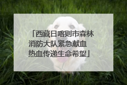 西藏日喀则市森林消防大队紧急献血 热血传递生命希望