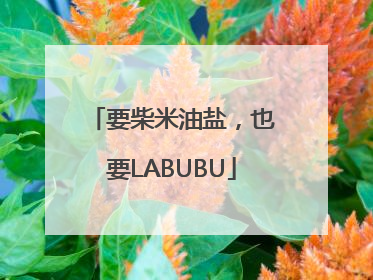 要柴米油盐，也要LABUBU