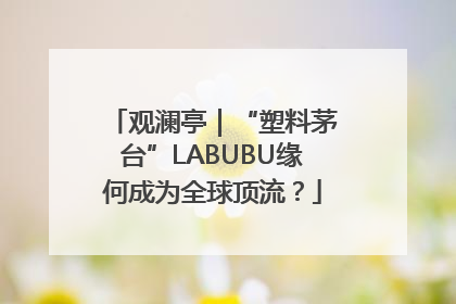 观澜亭｜“塑料茅台”LABUBU缘何成为全球顶流？