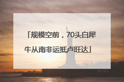 规模空前，70头白犀牛从南非运抵卢旺达