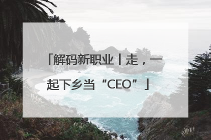 解码新职业丨走，一起下乡当“CEO”