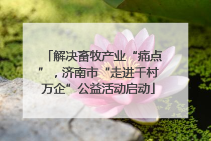 解决畜牧产业“痛点”，济南市“走进千村万企”公益活动启动