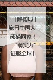 解构局丨旅日中国大熊猫回家！“萌实力”征服全球