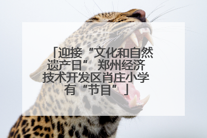 迎接“文化和自然遗产日” 郑州经济技术开发区肖庄小学有“节目”