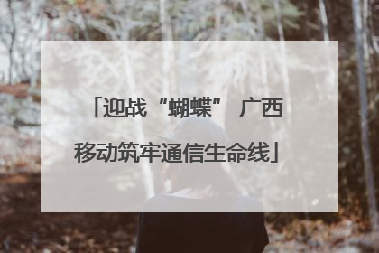 迎战“蝴蝶” 广西移动筑牢通信生命线