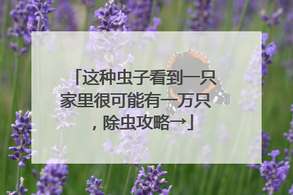 这种虫子看到一只家里很可能有一万只，除虫攻略→