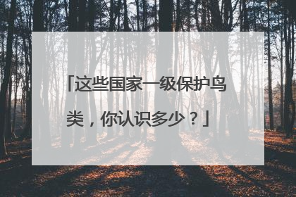 这些国家一级保护鸟类，你认识多少？