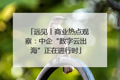 远见丨商业热点观察：中企“数字云出海”正在进行时