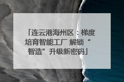 连云港海州区：梯度培育智能工厂 解锁“智造”升级新密码