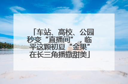 车站、高校、公园秒变“直播间”，临平这颗初夏“金果”在长三角播撒甜美