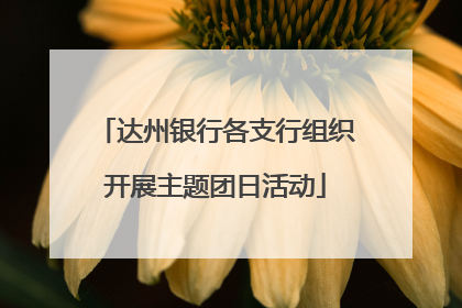 达州银行各支行组织开展主题团日活动