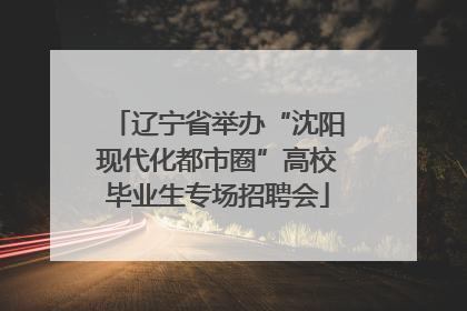 辽宁省举办“沈阳现代化都市圈”高校毕业生专场招聘会