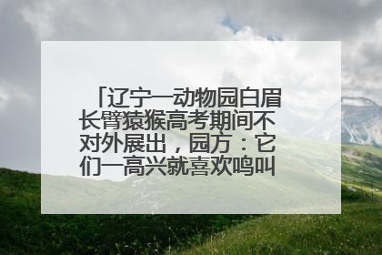 辽宁一动物园白眉长臂猿猴高考期间不对外展出，园方：它们一高兴就喜欢鸣叫，怕影响考试